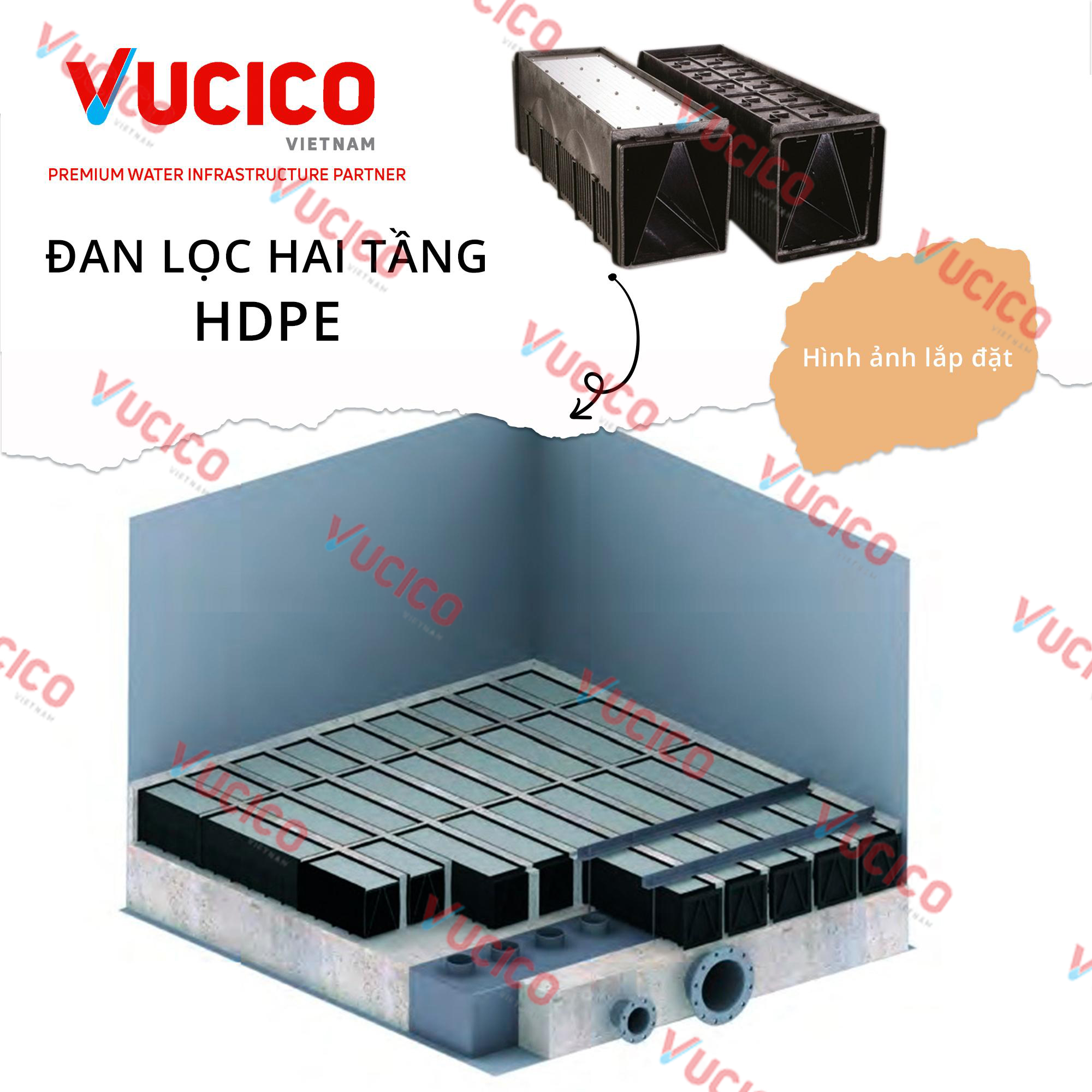 đan lọc