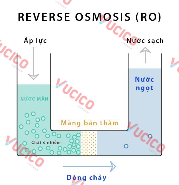 nước biển