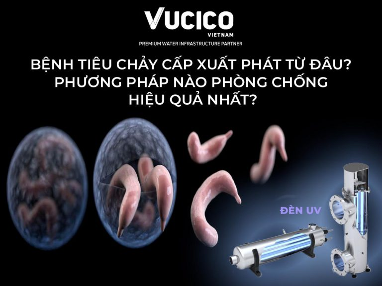 BỆNH TIÊU CHẢY CẤP LÀ GÌ? PHƯƠNG PHÁP PHÒNG CHỐNG NÀO LÀ HIỆU QUẢ NHẤT?