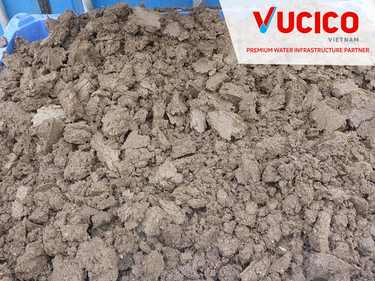Vì sao cần xử lý bùn thải tại các nhà máy xử lý nước?